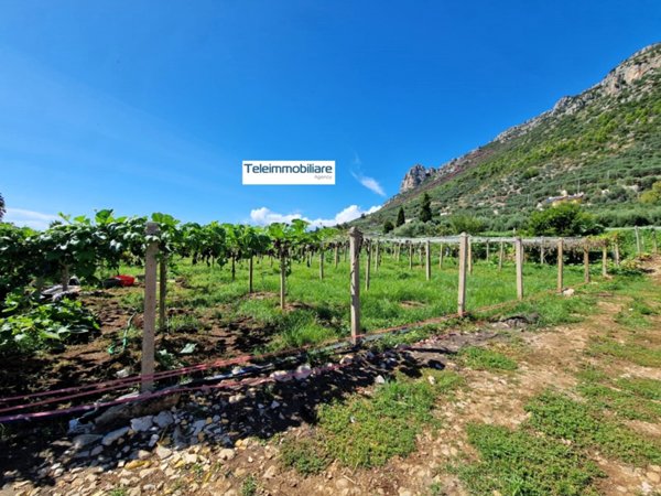 negozio in vendita a Terracina
