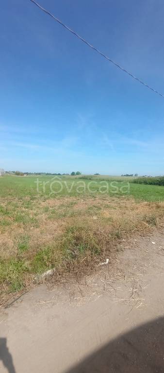 terreno agricolo in vendita a Terracina in zona Campolungo