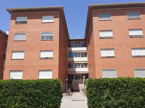 appartamento in vendita a Terracina