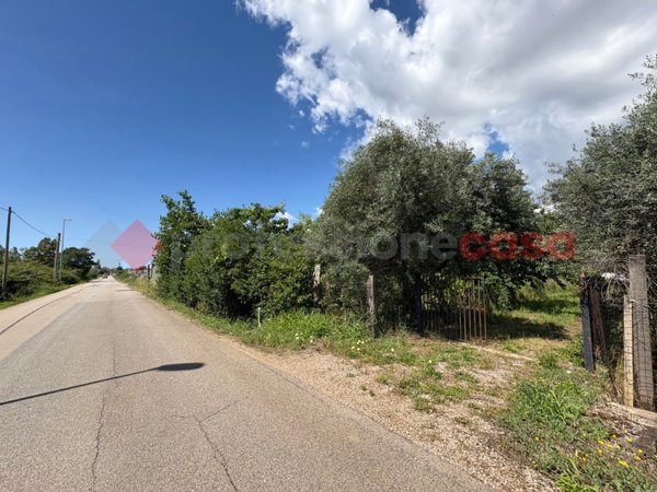 terreno agricolo in vendita a Terracina