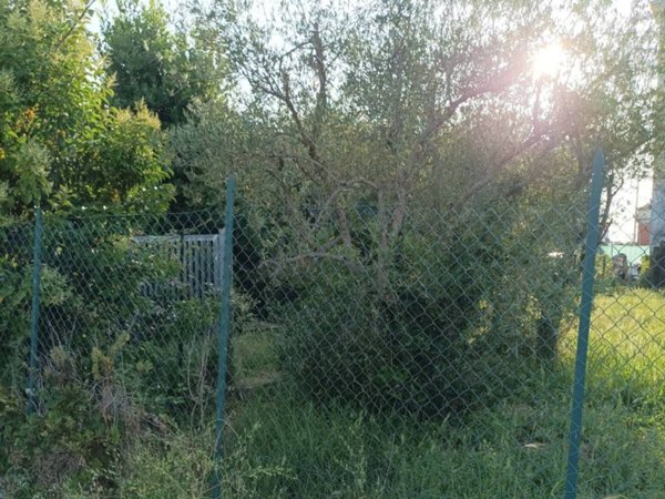terreno agricolo in vendita a Terracina