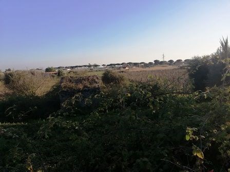terreno agricolo in vendita a Terracina in zona San Benedetto