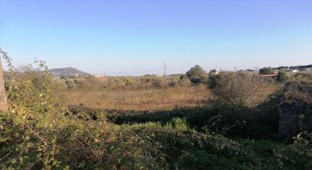 terreno agricolo in vendita a Terracina in zona San Benedetto