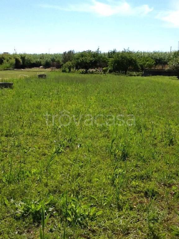 terreno agricolo in vendita a Terracina