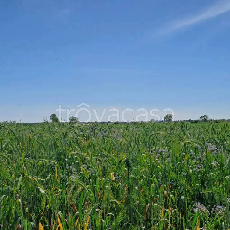 terreno agricolo in vendita a Terracina