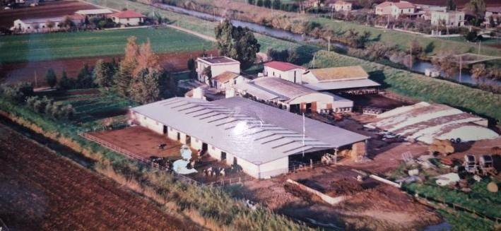 appartamento in vendita a Terracina