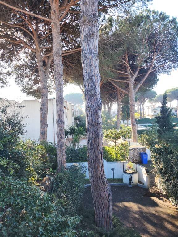 casa indipendente in vendita a Terracina