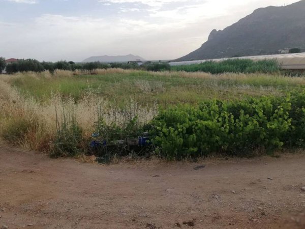 terreno agricolo in vendita a Terracina in zona Casaletti
