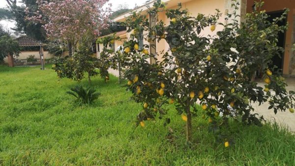 casa indipendente in vendita a Terracina