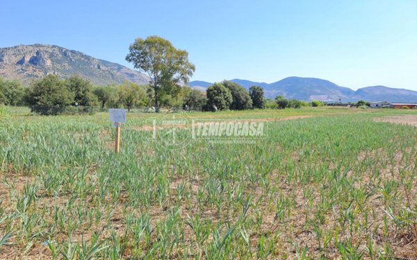 terreno agricolo in vendita a Terracina