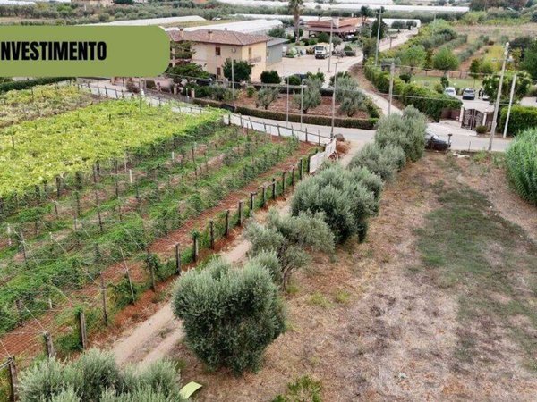 terreno agricolo in vendita a Terracina
