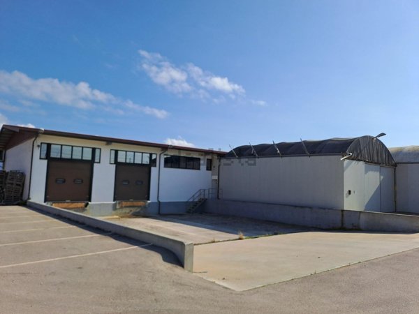 immagine annuncio 0 di 1