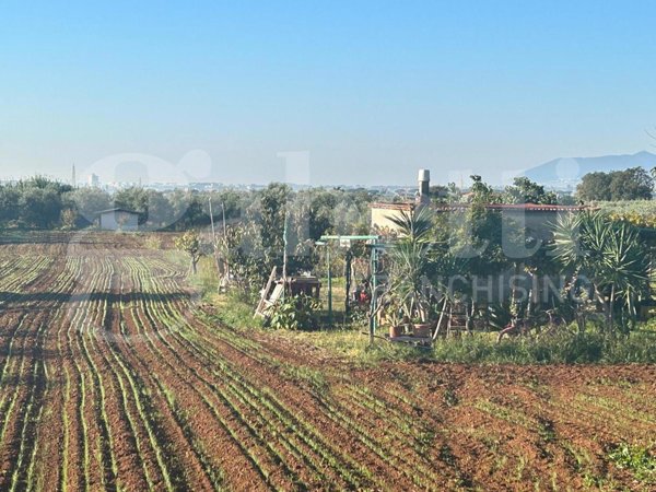 terreno agricolo in vendita a Terracina