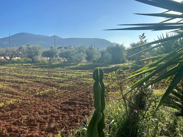 terreno agricolo in vendita a Terracina