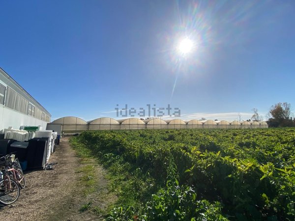 terreno agricolo in vendita a Terracina