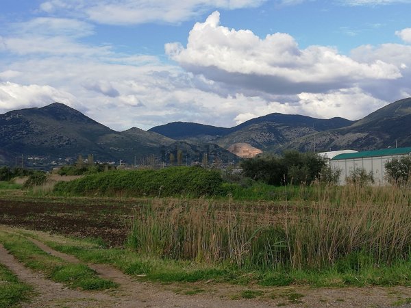 terreno agricolo in vendita a Terracina