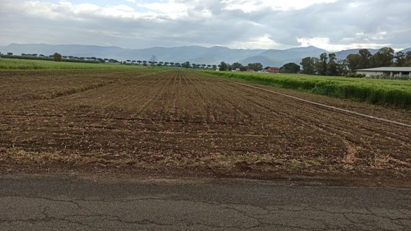 terreno agricolo in vendita a Terracina