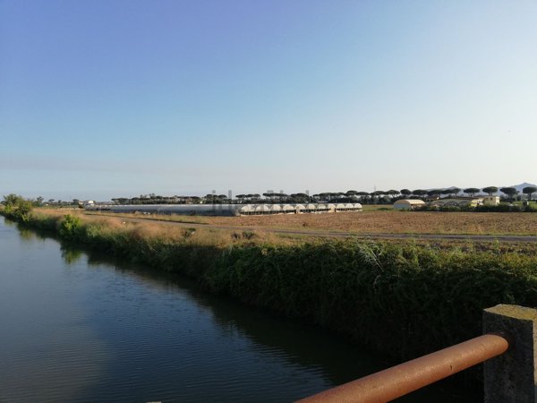 terreno agricolo in vendita a Terracina