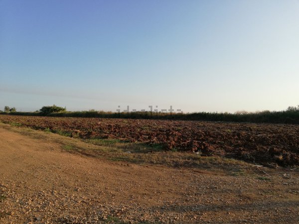 terreno agricolo in vendita a Terracina
