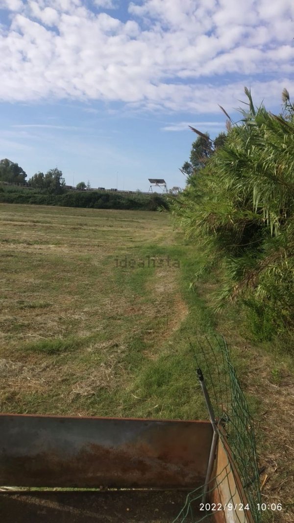 terreno agricolo in vendita a Terracina