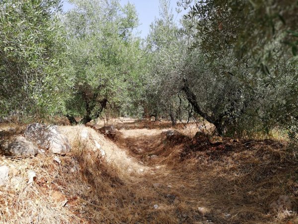 appartamento in vendita a Terracina in zona Campolungo