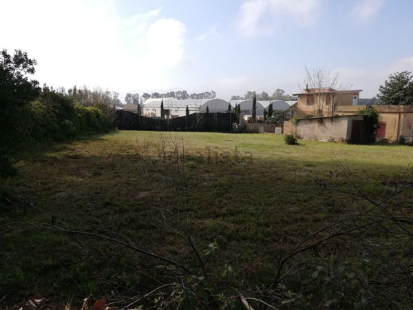 terreno agricolo in vendita a Terracina