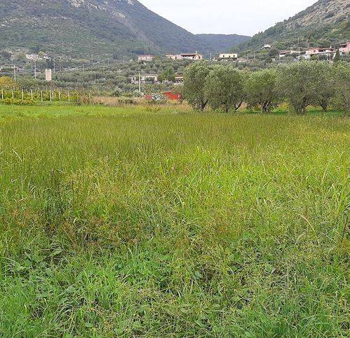 terreno agricolo in vendita a Terracina in zona Casaletti