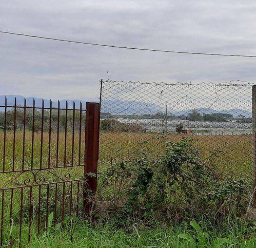 terreno agricolo in vendita a Terracina