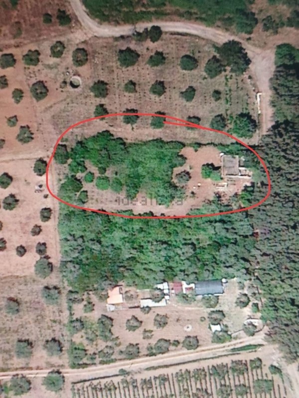 casa indipendente in vendita a Terracina in zona La Fiora