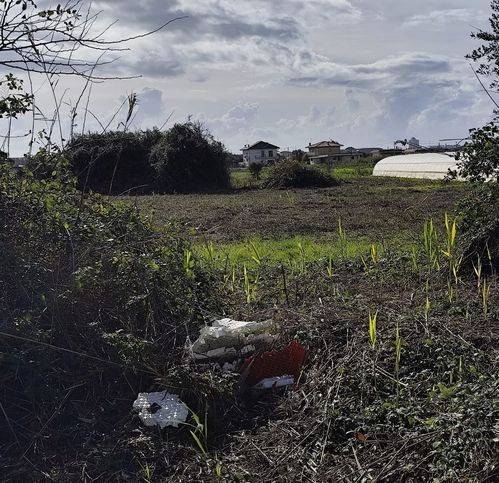 terreno agricolo in vendita a Terracina