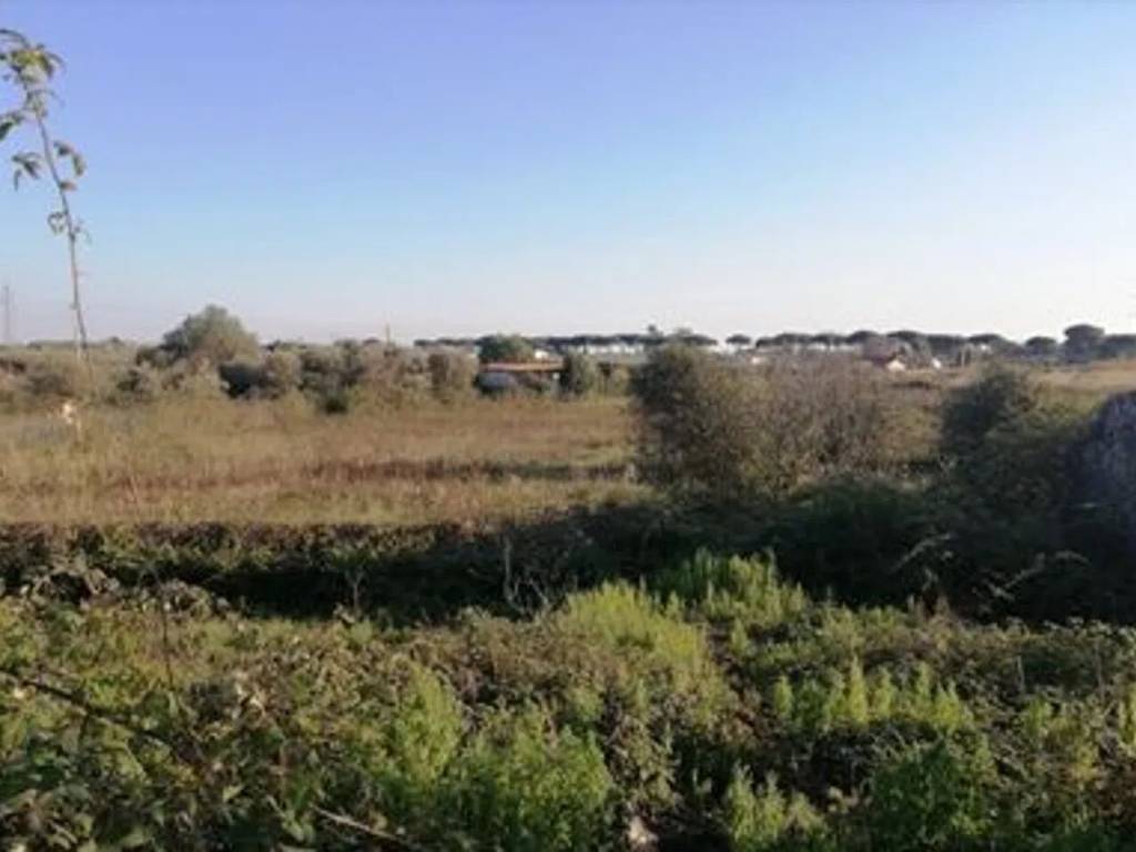 terreno agricolo in vendita a Terracina in zona Casaletti