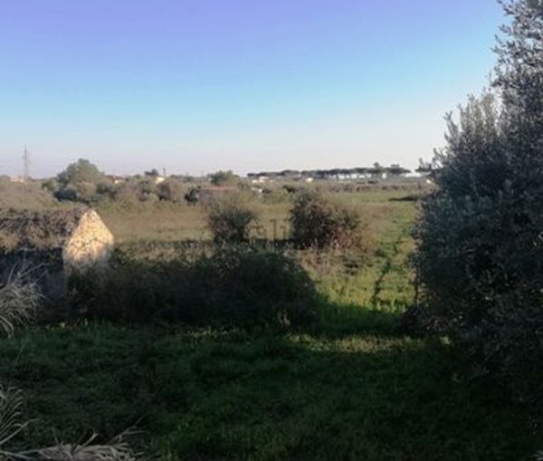 terreno agricolo in vendita a Terracina