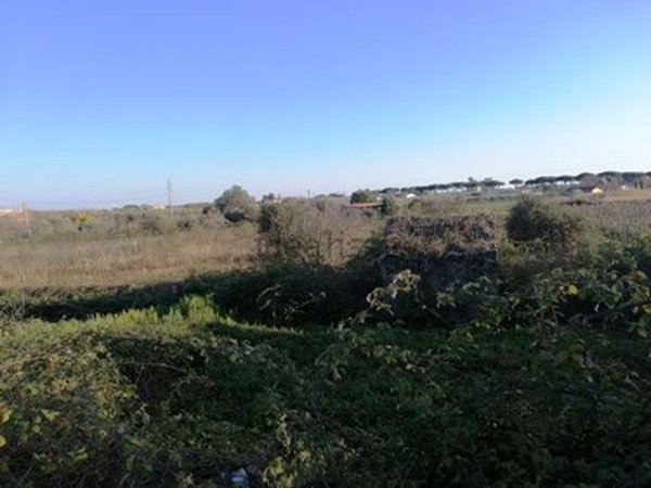 terreno agricolo in vendita a Terracina