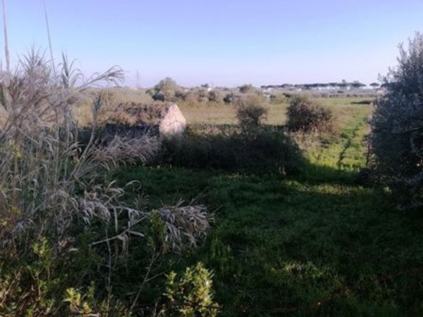terreno agricolo in vendita a Terracina