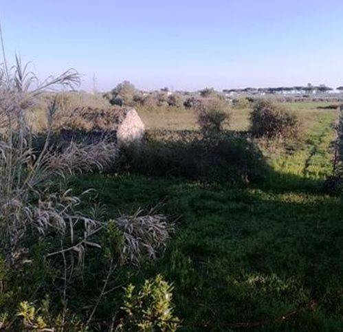 terreno agricolo in vendita a Terracina in zona Casaletti