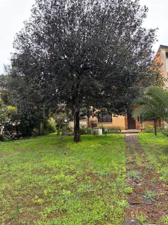 casa indipendente in vendita a Terracina
