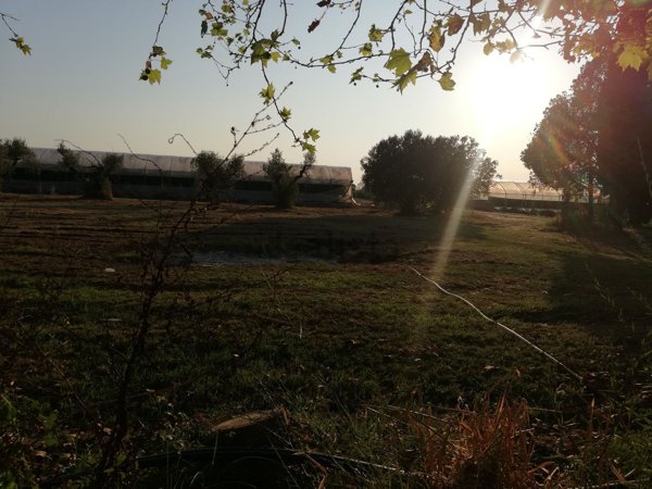 terreno agricolo in vendita a Terracina
