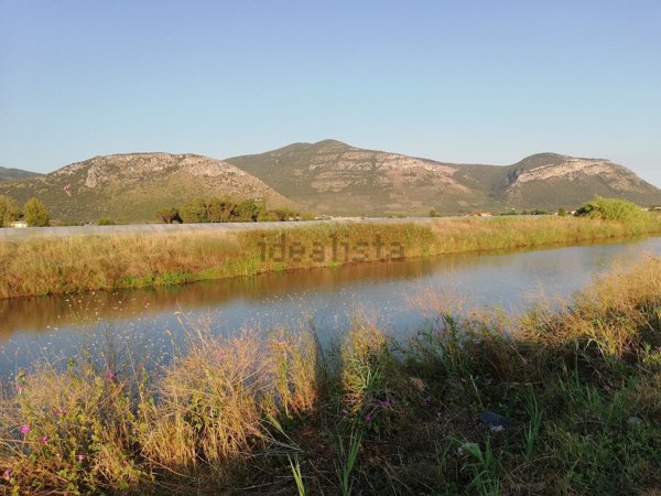 terreno agricolo in vendita a Terracina