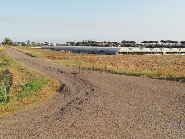 terreno agricolo in vendita a Terracina