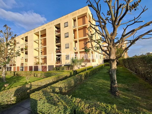 appartamento in vendita a Terracina