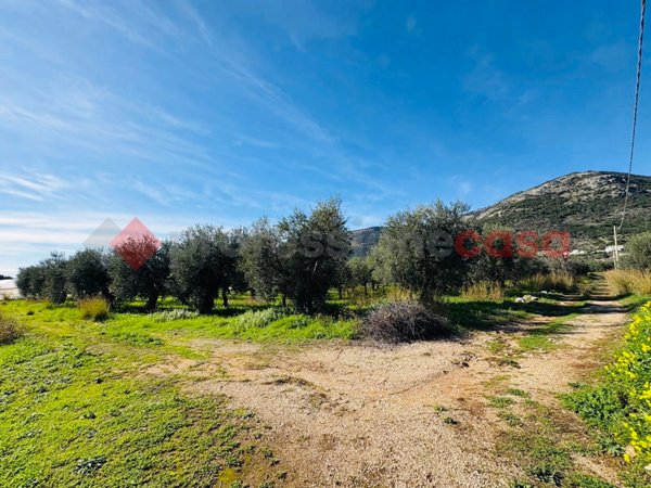 terreno agricolo in vendita a Terracina