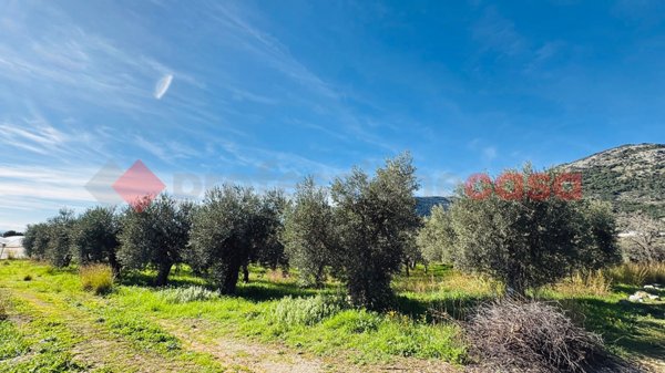 terreno agricolo in vendita a Terracina