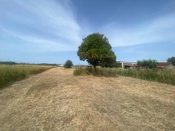 terreno agricolo in vendita a Terracina