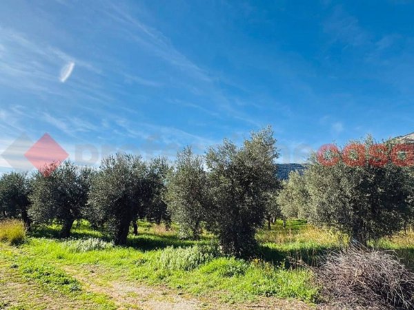terreno agricolo in vendita a Terracina
