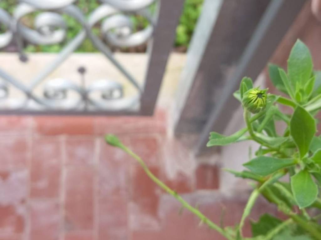 casa indipendente in vendita a Terracina in zona Hermada