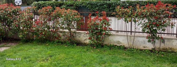 casa indipendente in vendita a Terracina