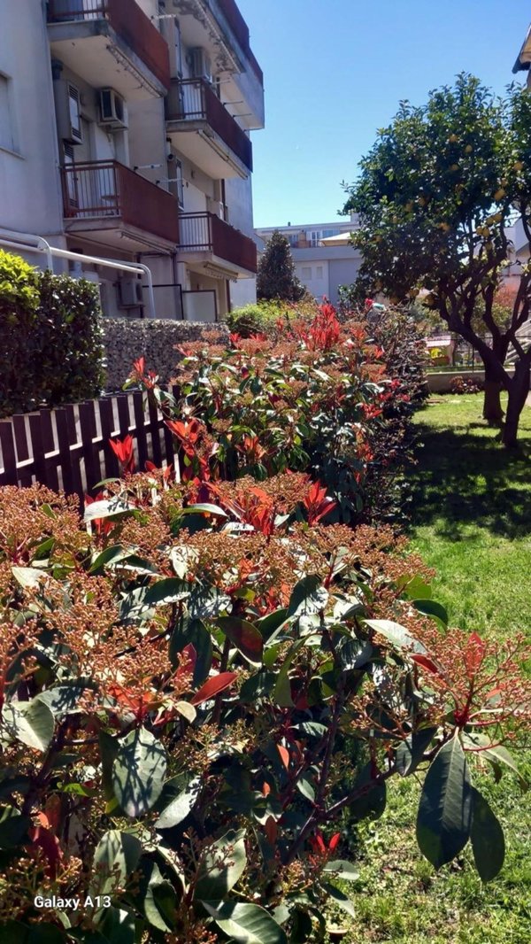 casa indipendente in vendita a Terracina