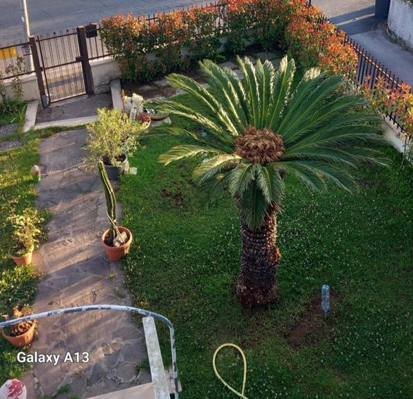 casa indipendente in vendita a Terracina