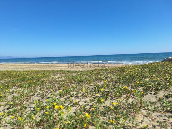 terreno edificabile in vendita a Terracina