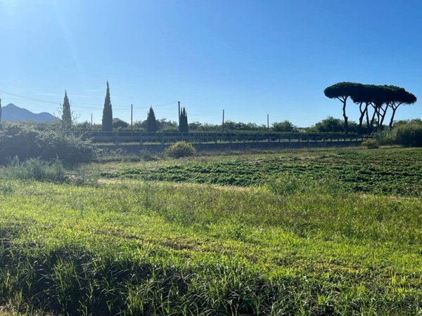 negozio in vendita a Terracina